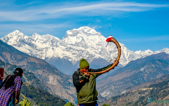 धौलागिरि हिमाल अगाडि नौमती बाजा बजाउँदै झिँ गाउँका स्थानीय। तस्बिरः सेतोपाटी